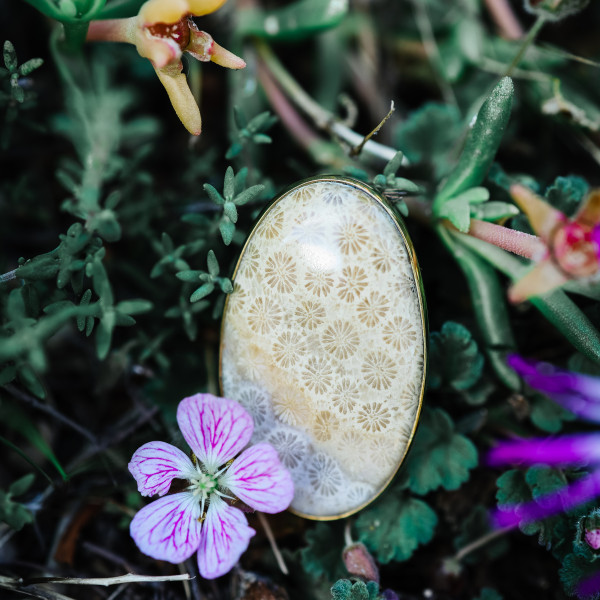 Pierścionek Fossil Koral – skamieniały koral